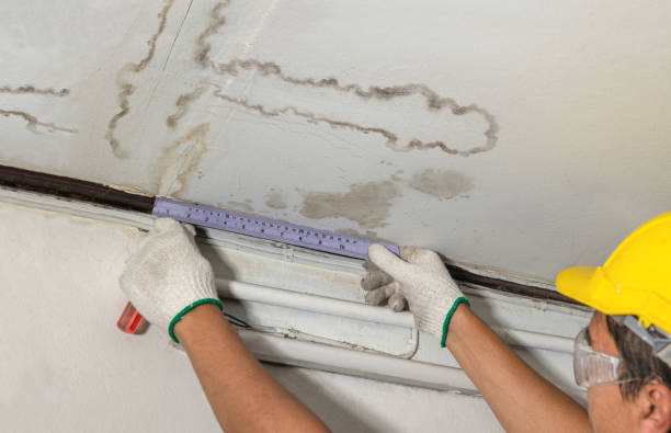 Reliable Water Damage contractor in Harrisburg, OR by Water Damage Irwin